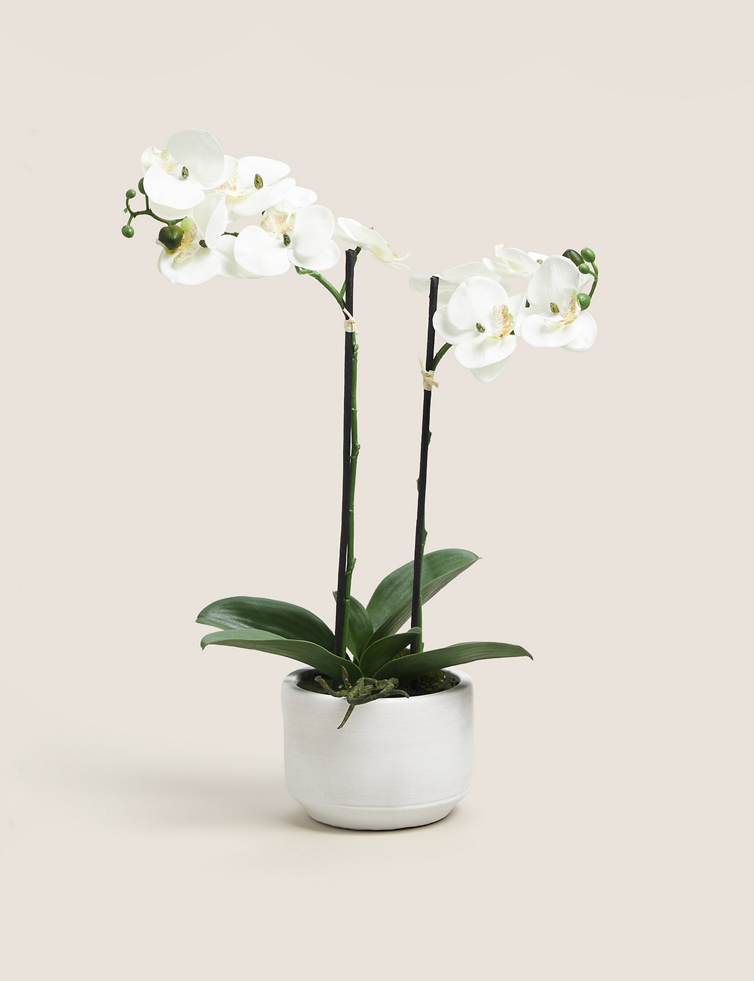 product-gallery-0