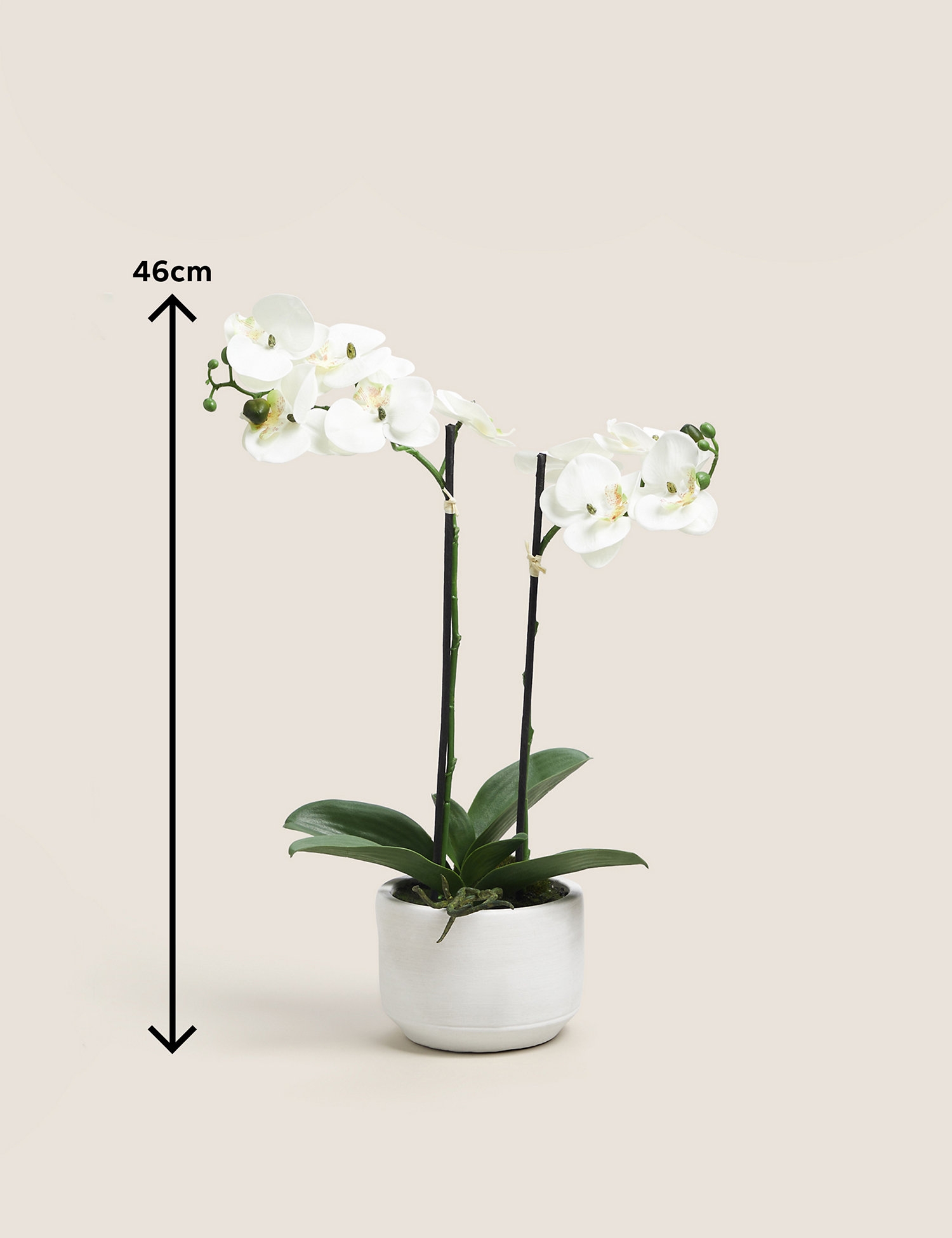 product-gallery-3