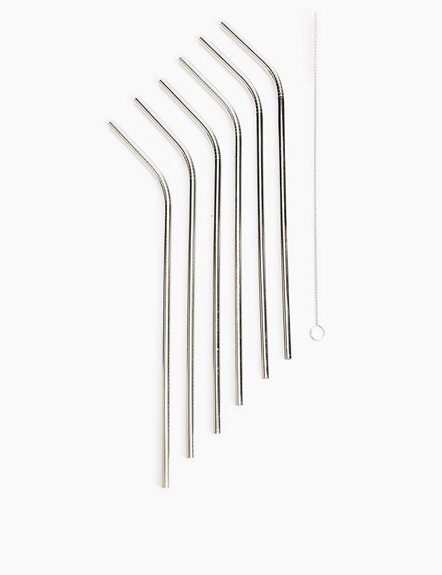 Set of 6 Reusable Straws with Brush