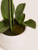product-gallery-1