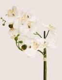 product-gallery-2