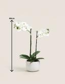 product-gallery-3