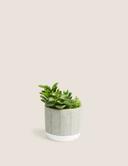 product-gallery-0